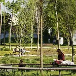 Apartament Decebal By Clujstays